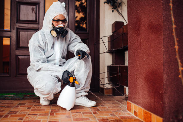 Reliable Bed Bug Control contractor in Danville, CA by Nex Pest Control